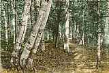 Riverside Path, White Mountains, New Hampshire by Norman Parkinson